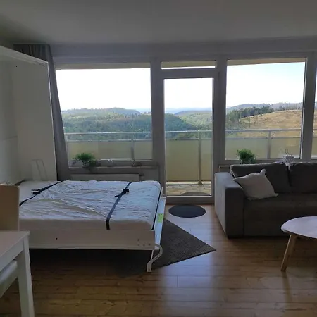 Ferienwohnung 573 Braunlage